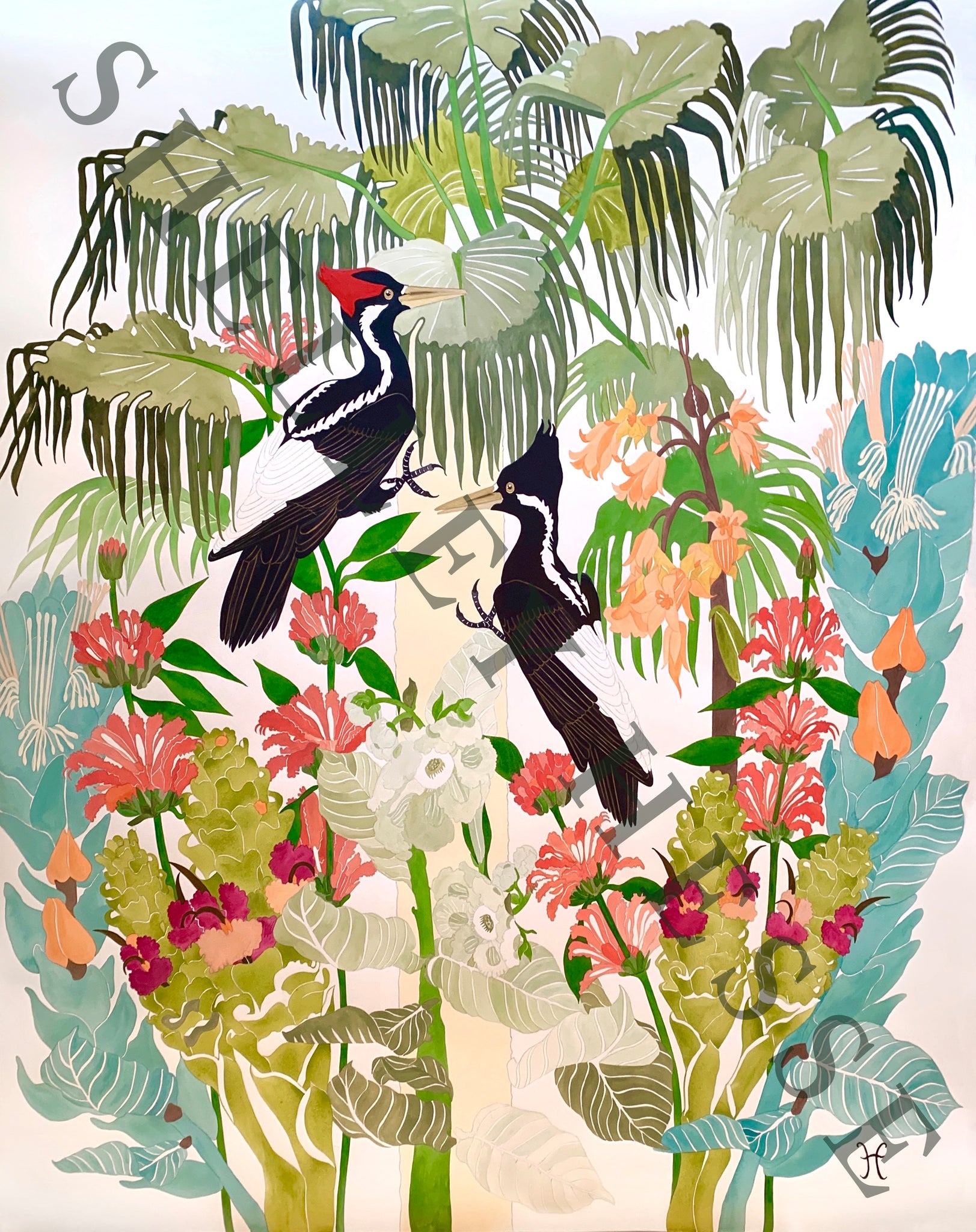 Ivory-billed Woodpeckers