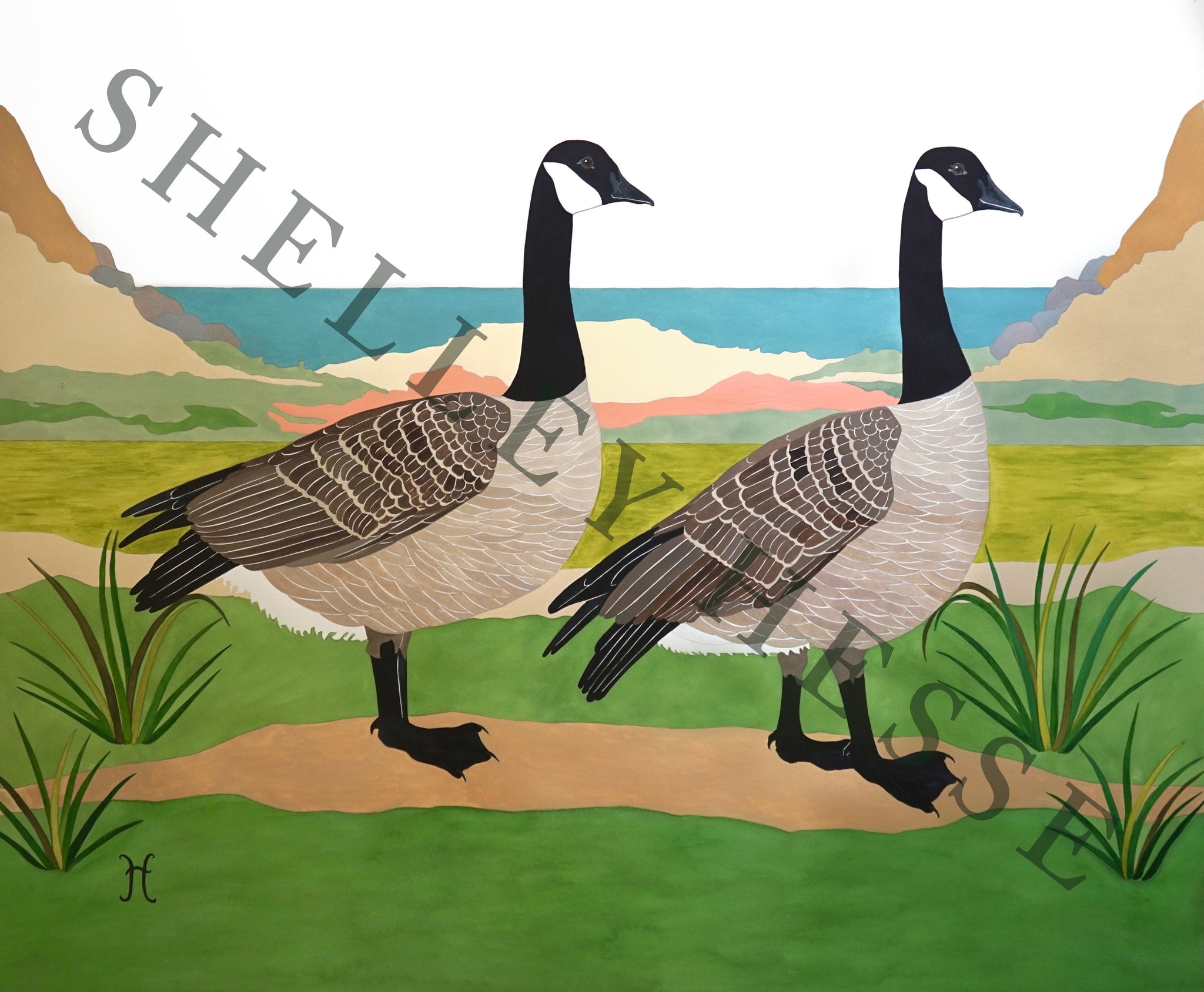 Canada Geese